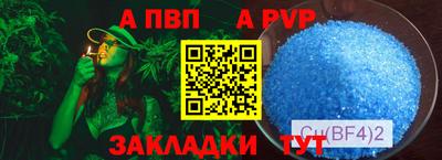 гидра Будённовск