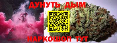 гидра Будённовск