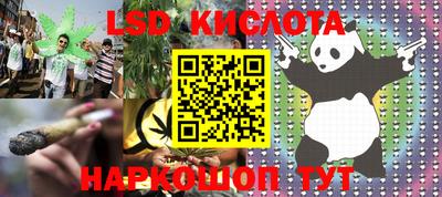 гидра Будённовск