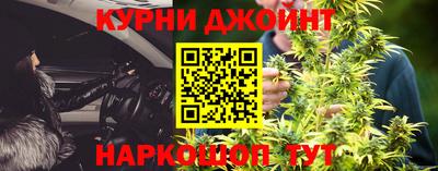 гидра Будённовск