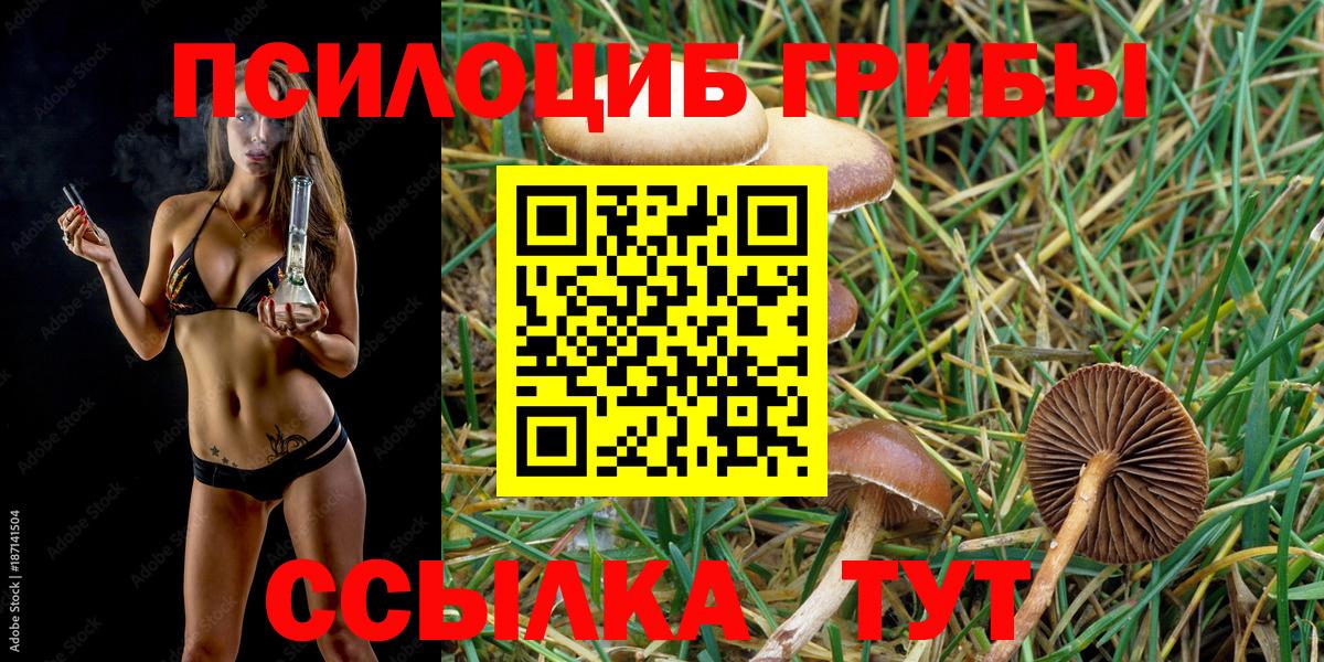 Псилоцибиновые грибы прущие грибы  Галлюциногенные грибы Psilocybe  Конаково  Вход с VPN 