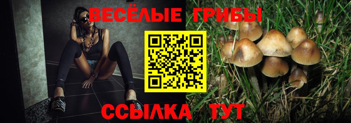 Псилоцибиновые грибы GOLDEN TEACHER Конаково